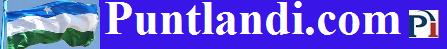 puntlandi.com